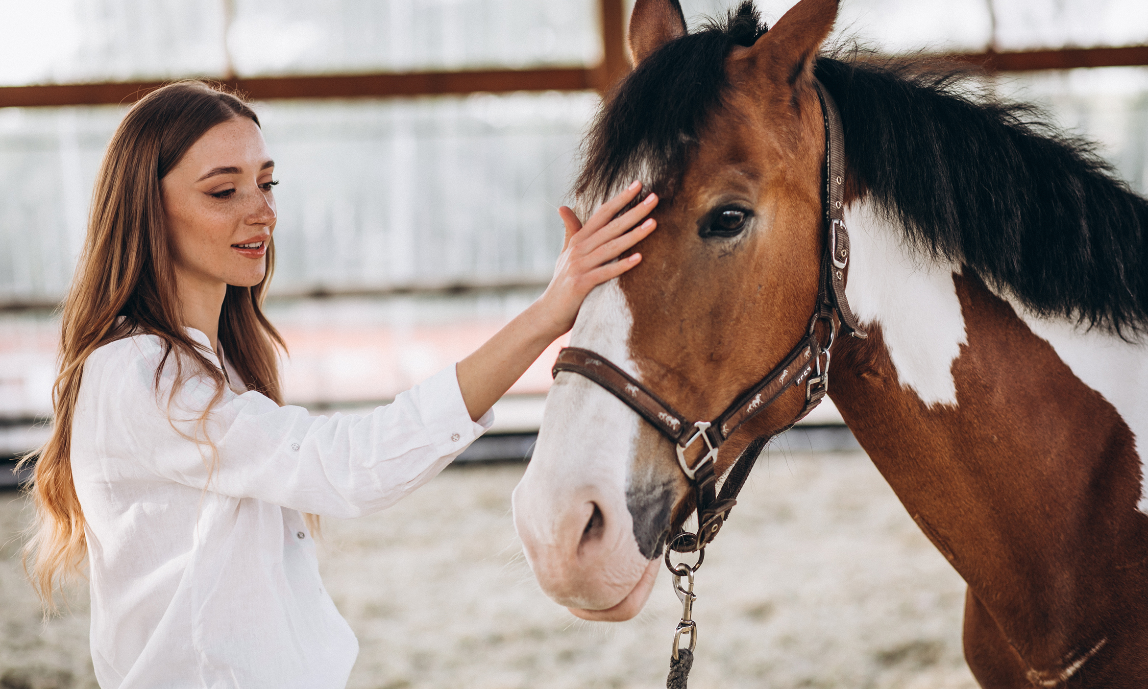 At Safari Turları ile Isparta’nın Doğasını Keşfedin