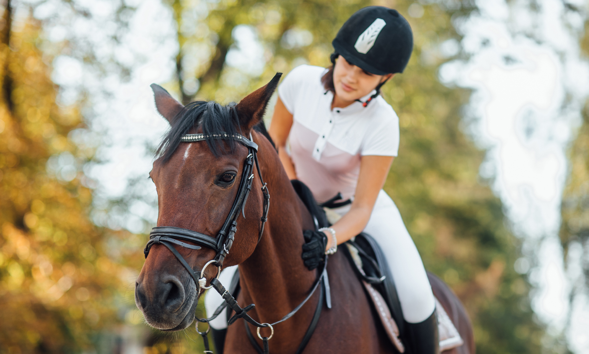 Isparta At Binicilik Kursları ile Güvenli ve Profesyonel Eğitim